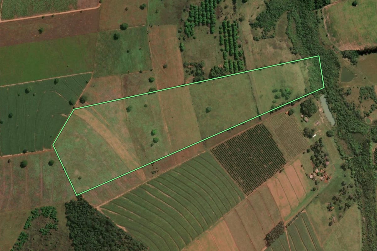 Imagem de satélite do imóvel rural em Vitória Brasil (SP), com o contorno declarado no CAR desenhado por cima.