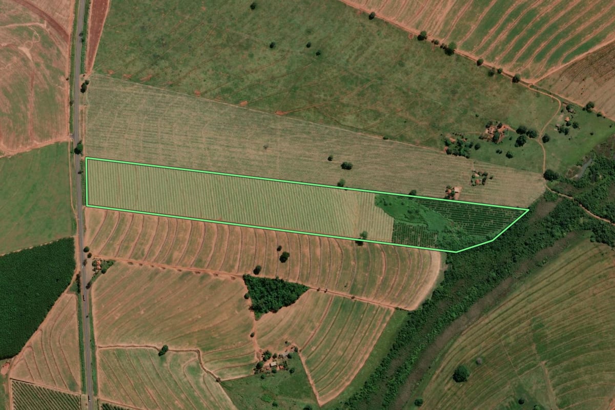 Imagem de satélite do imóvel rural em Vitória Brasil (SP), com o contorno declarado no CAR desenhado por cima.