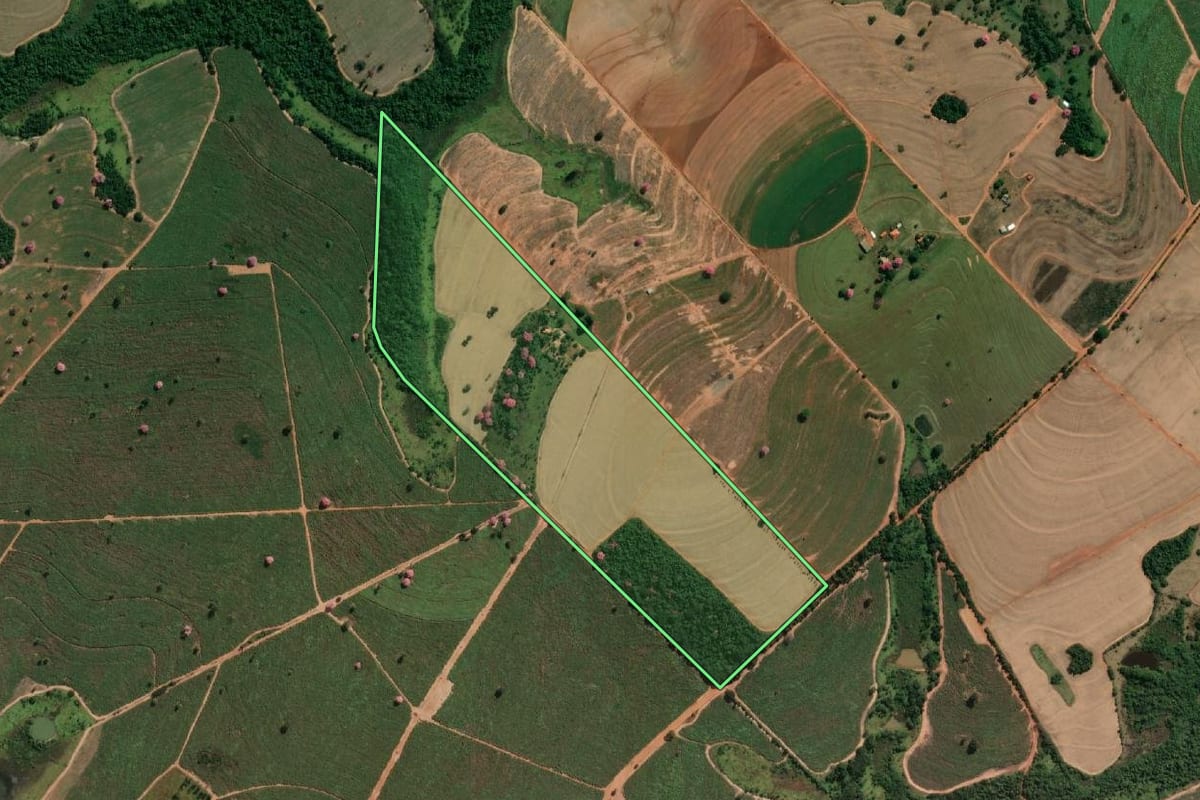 Imagem de satélite do imóvel rural em Votuporanga (SP), com o contorno declarado no CAR desenhado por cima.
