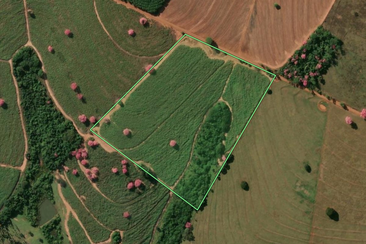 Imagem de satélite do imóvel rural em Votuporanga (SP), com o contorno declarado no CAR desenhado por cima.