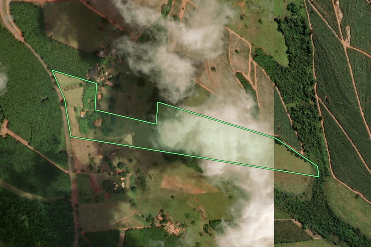 Imagem de satélite do imóvel rural em Votuporanga (SP), com o contorno declarado no CAR desenhado por cima.