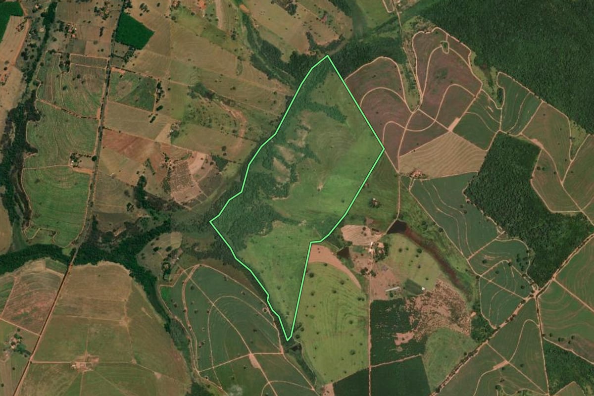 Imagem de satélite do imóvel rural em Votuporanga (SP), com o contorno declarado no CAR desenhado por cima.