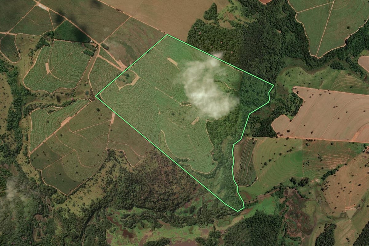 Imagem de satélite do imóvel rural em Votuporanga (SP), com o contorno declarado no CAR desenhado por cima.