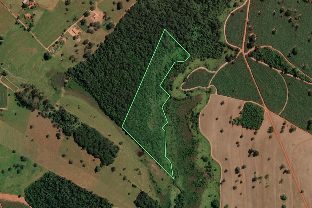 Imagem de satélite do imóvel rural em Votuporanga (SP), com o contorno declarado no CAR desenhado por cima.