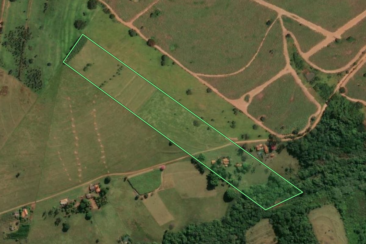 Imagem de satélite do imóvel rural em Votuporanga (SP), com o contorno declarado no CAR desenhado por cima.