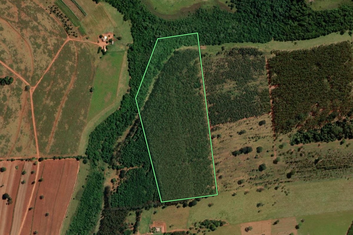 Imagem de satélite do imóvel rural em Votuporanga (SP), com o contorno declarado no CAR desenhado por cima.