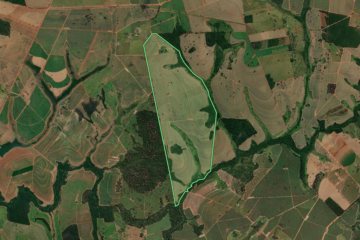 Imagem de satélite do imóvel rural em Votuporanga (SP), com o contorno declarado no CAR desenhado por cima.