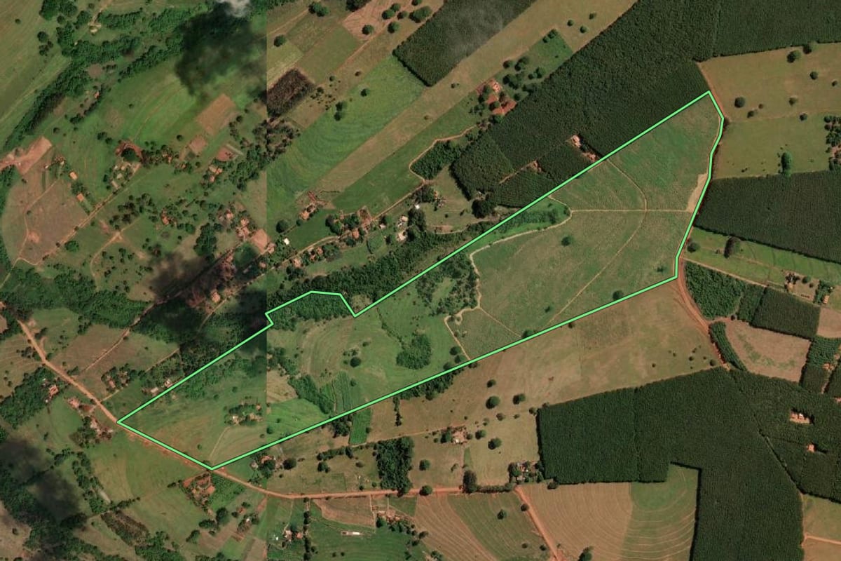 Imagem de satélite do imóvel rural em Votuporanga (SP), com o contorno declarado no CAR desenhado por cima.