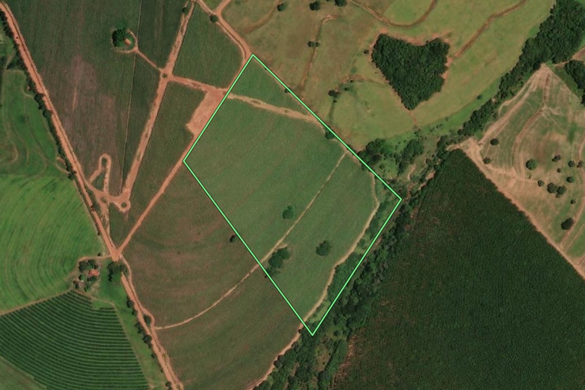 Imagem de satélite do imóvel rural em Votuporanga (SP), com o contorno declarado no CAR desenhado por cima.