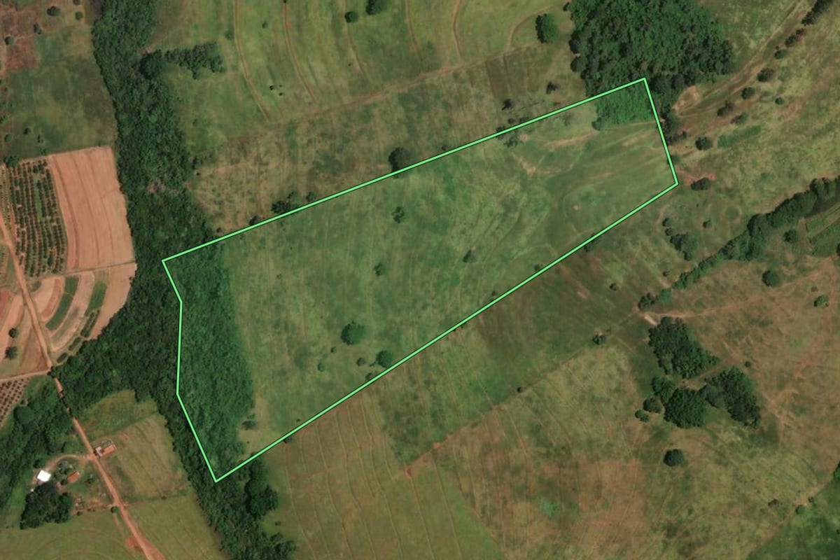 Imagem de satélite do imóvel rural em Votuporanga (SP), com o contorno declarado no CAR desenhado por cima.