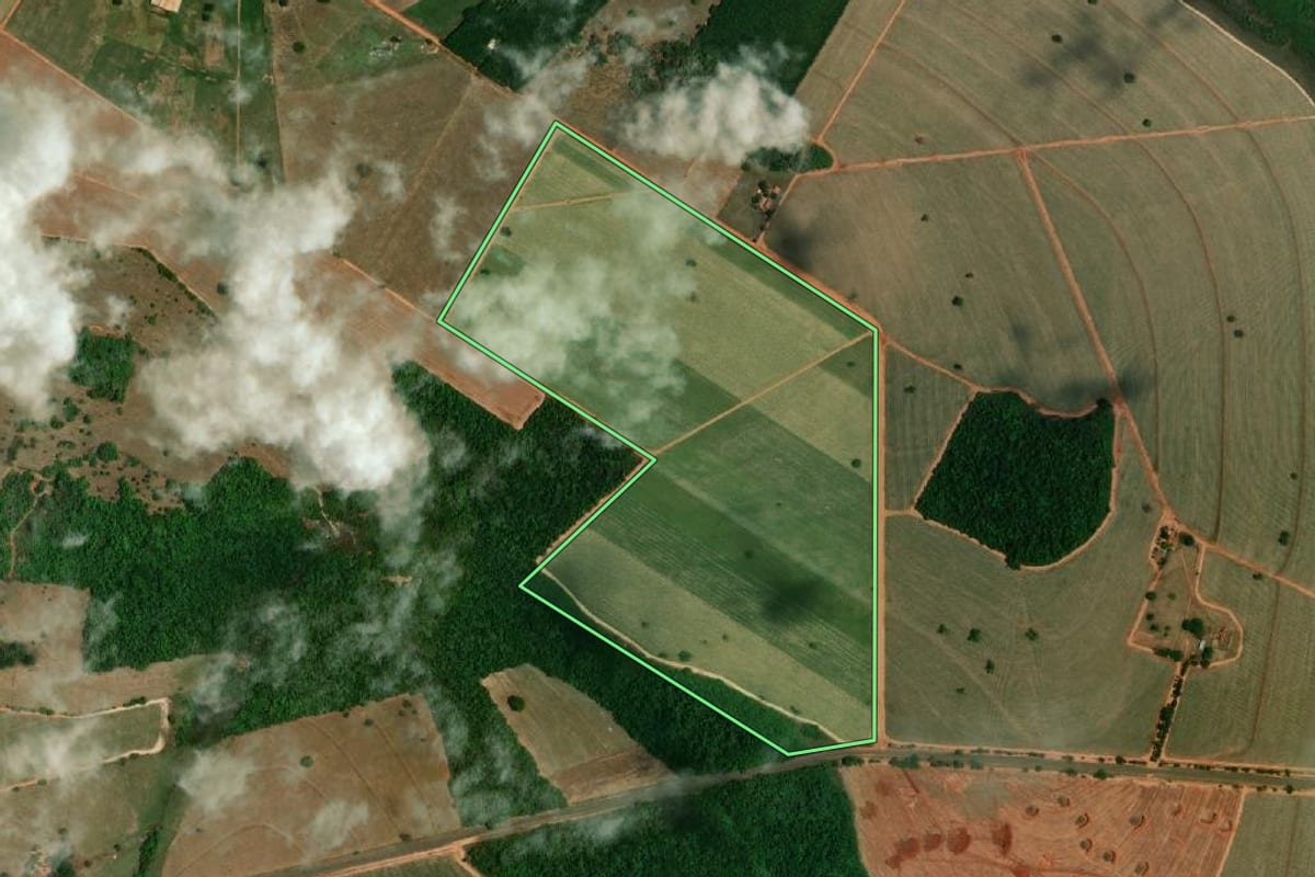 Imagem de satélite do imóvel rural em Zacarias (SP), com o contorno declarado no CAR desenhado por cima.