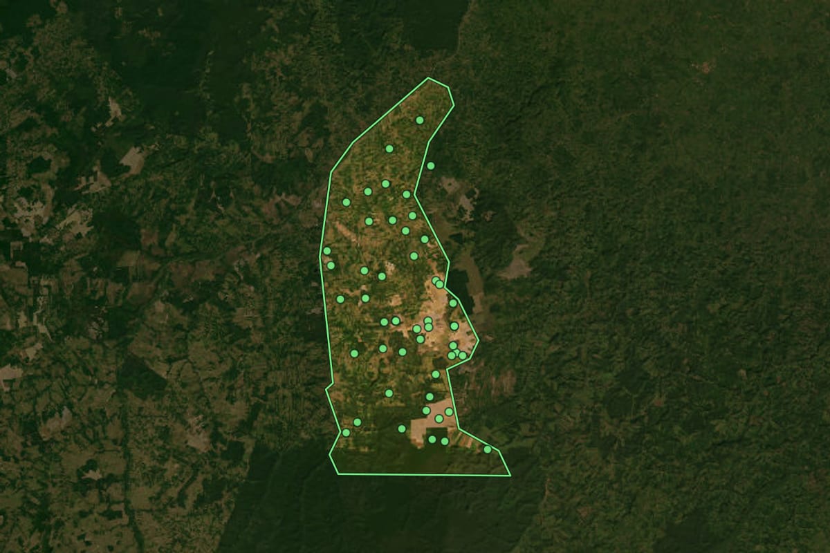 Imagem de satélite de Buriticupu (MA), com o contorno do município e a posição dos imóveis desta página.