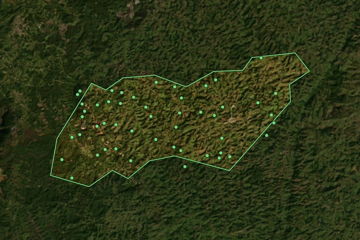 Imagem de satélite de Alvinópolis (MG), com o contorno do município e a posição dos imóveis desta página.