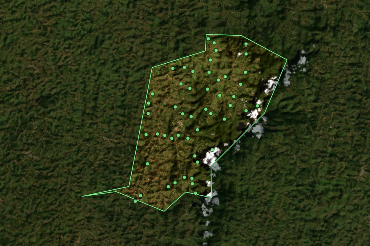 Imagem de satélite de Araponga (MG), com o contorno do município e a posição dos imóveis desta página.