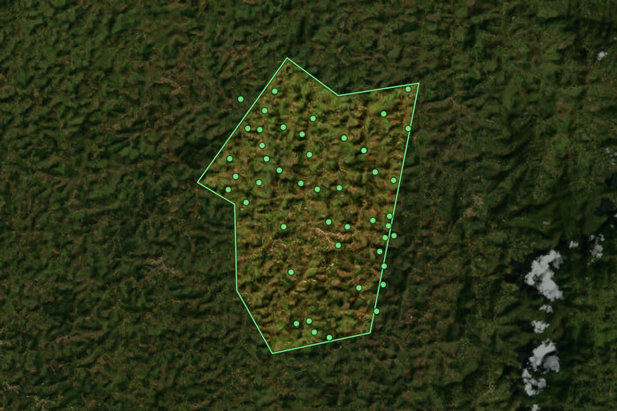 Imagem de satélite de Canaã (MG), com o contorno do município e a posição dos imóveis desta página.