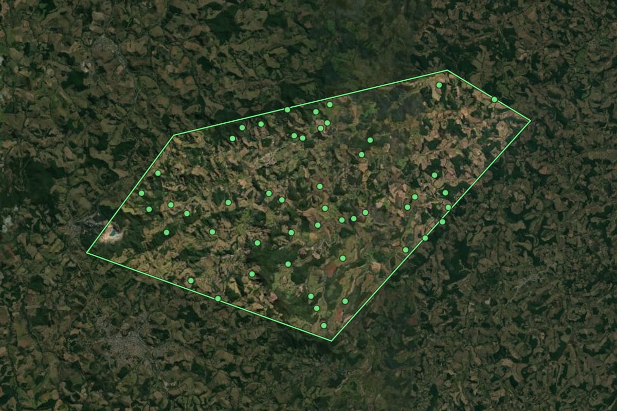 Imagem de satélite de Caranaíba (MG), com o contorno do município e a posição dos imóveis desta página.