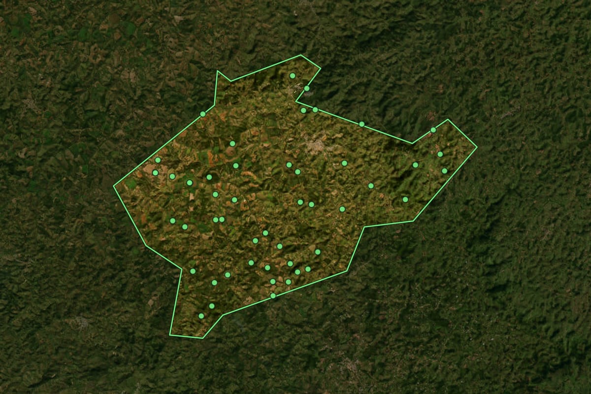 Imagem de satélite de Carandaí (MG), com o contorno do município e a posição dos imóveis desta página.