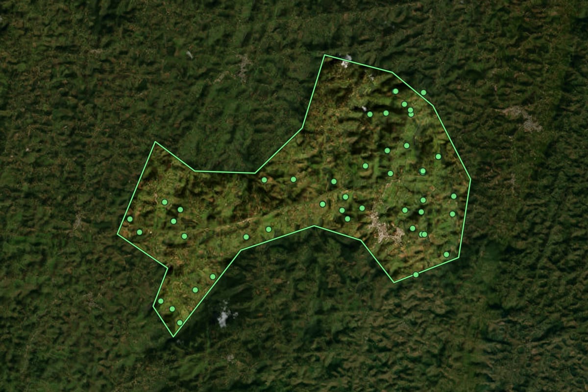 Imagem de satélite de Carangola (MG), com o contorno do município e a posição dos imóveis desta página.