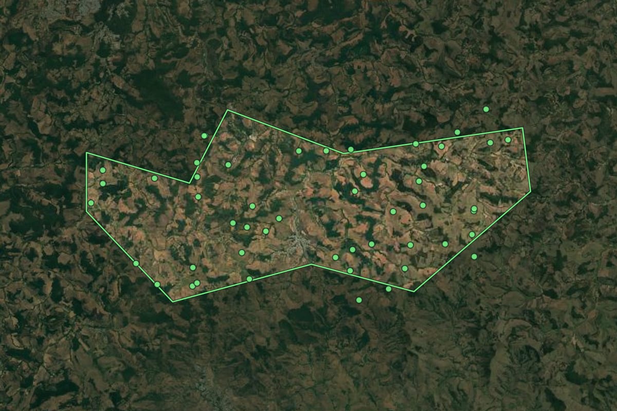 Imagem de satélite de Coimbra (MG), com o contorno do município e a posição dos imóveis desta página.