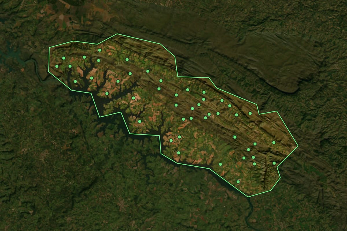 Imagem de satélite de Delfinópolis (MG), com o contorno do município e a posição dos imóveis desta página.