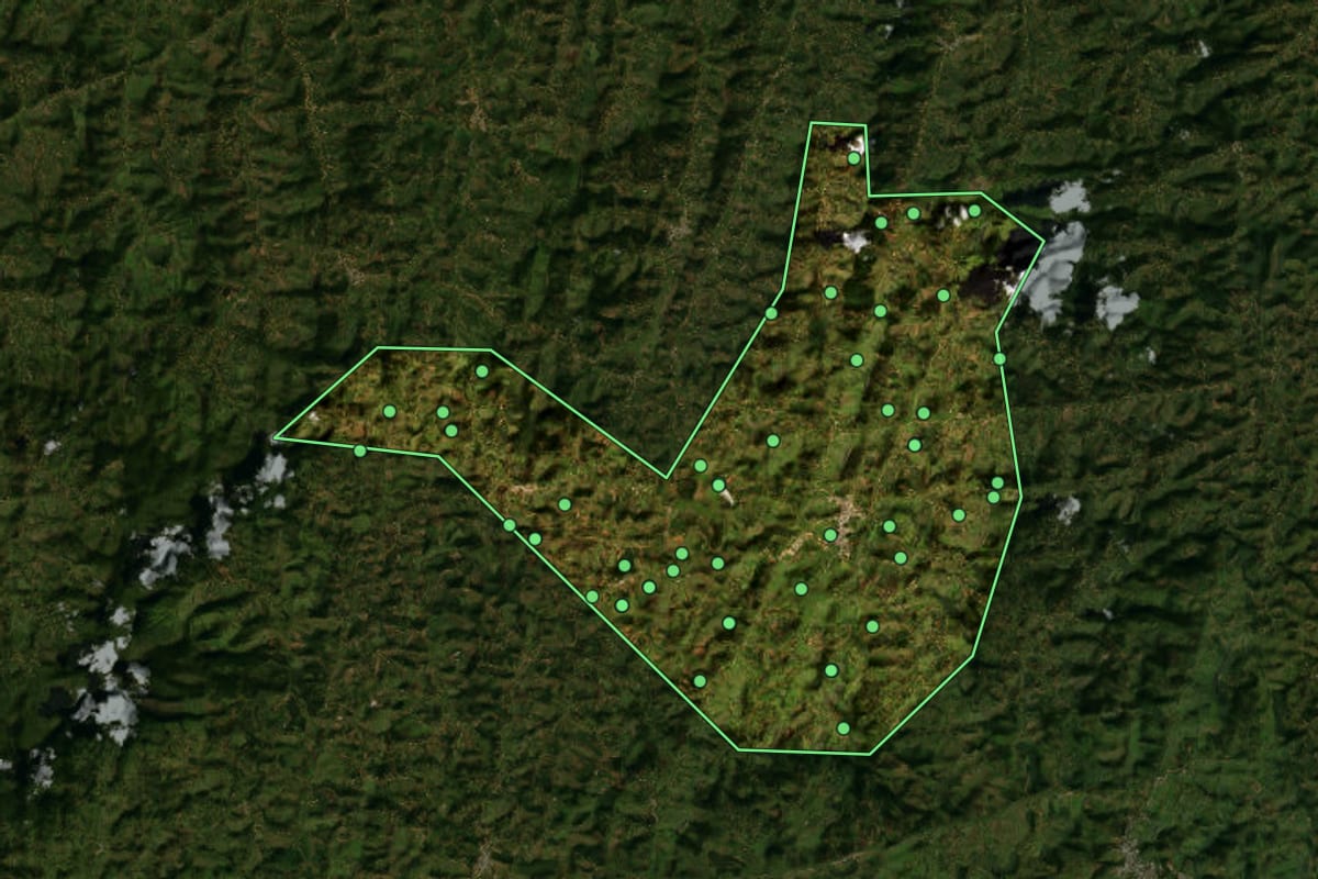 Imagem de satélite de Divino (MG), com o contorno do município e a posição dos imóveis desta página.
