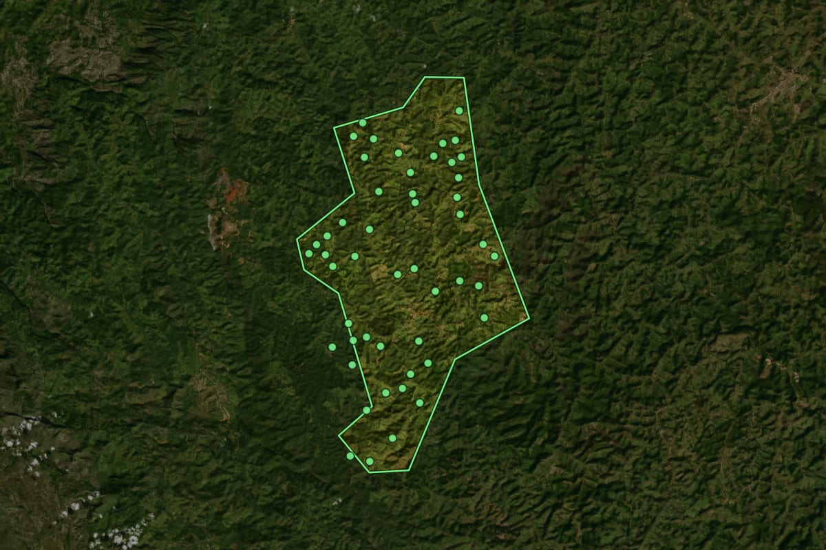 Imagem de satélite de Dom Joaquim (MG), com o contorno do município e a posição dos imóveis desta página.
