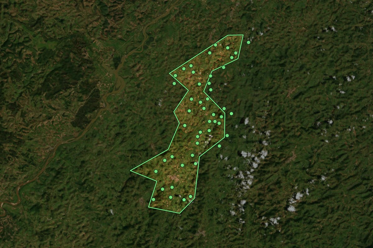 Imagem de satélite de Engenheiro Caldas (MG), com o contorno do município e a posição dos imóveis desta página.