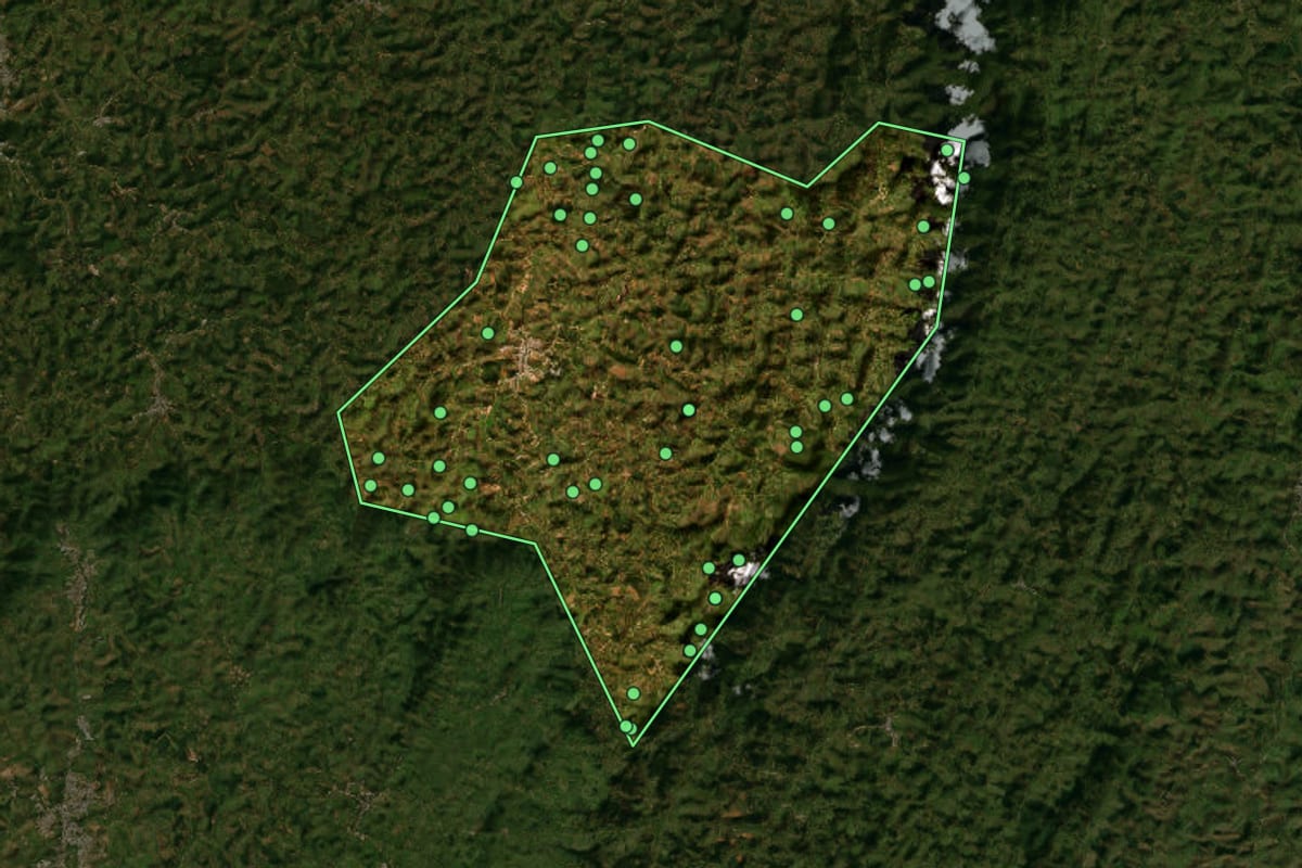 Imagem de satélite de Ervália (MG), com o contorno do município e a posição dos imóveis desta página.