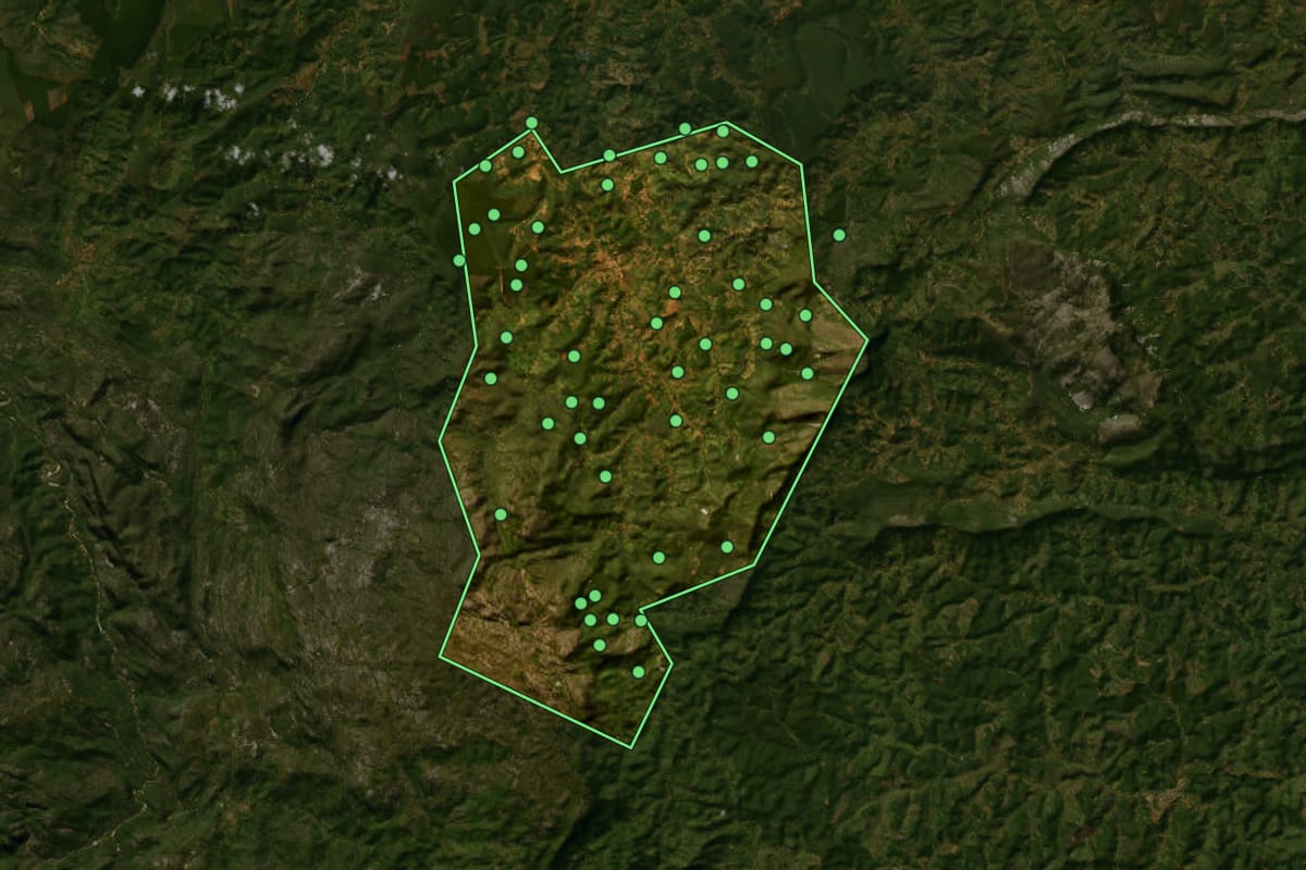 Imagem de satélite de Felício dos Santos (MG), com o contorno do município e a posição dos imóveis desta página.