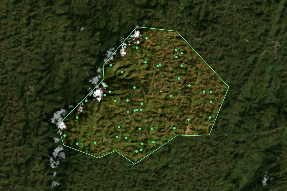Imagem de satélite de Fervedouro (MG), com o contorno do município e a posição dos imóveis desta página.