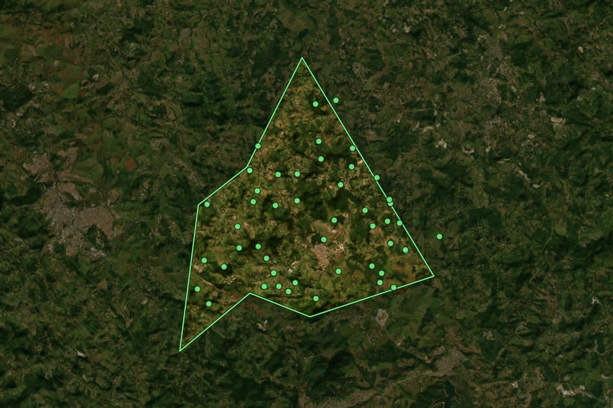 Imagem de satélite de Florestal (MG), com o contorno do município e a posição dos imóveis desta página.