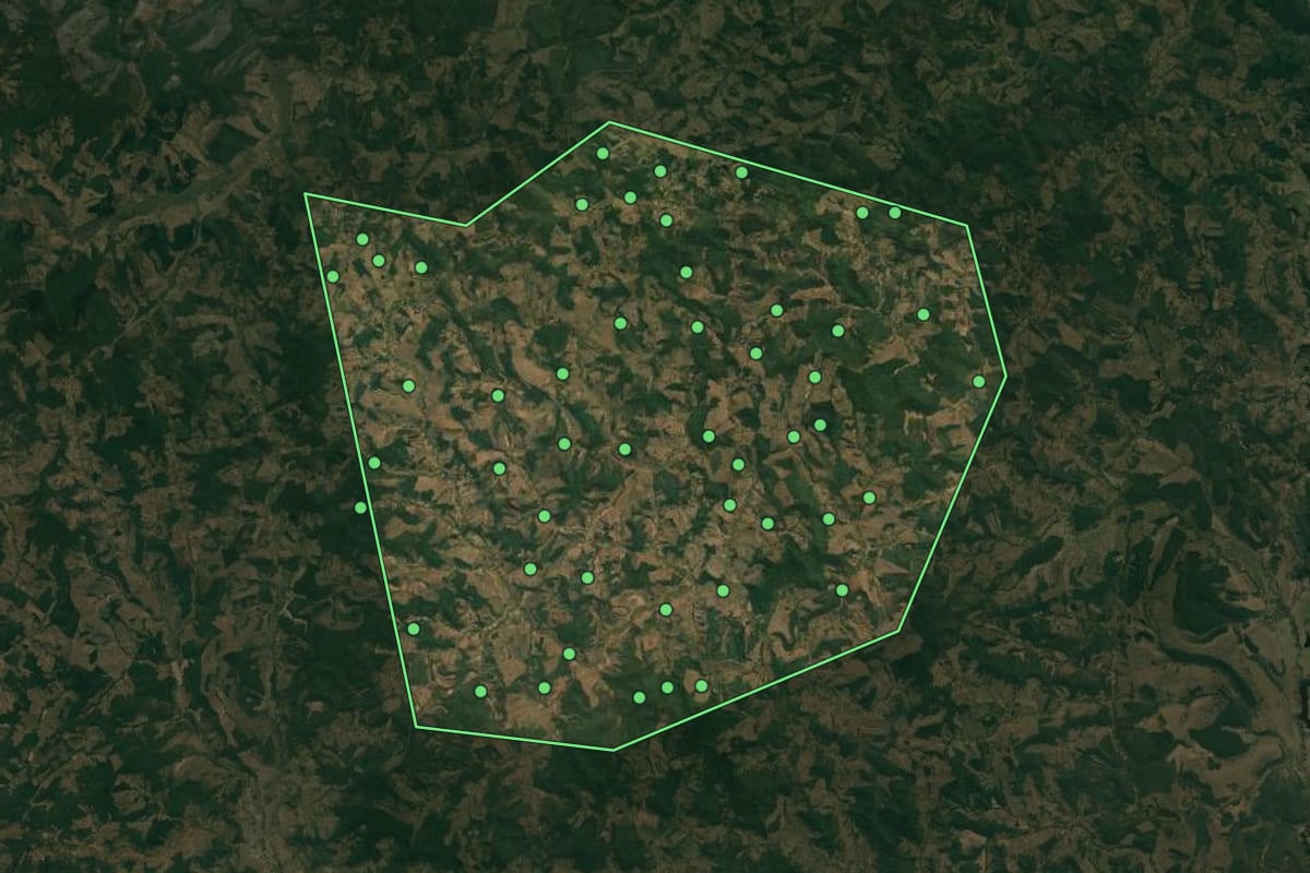 Imagem de satélite de Frei Lagonegro (MG), com o contorno do município e a posição dos imóveis desta página.