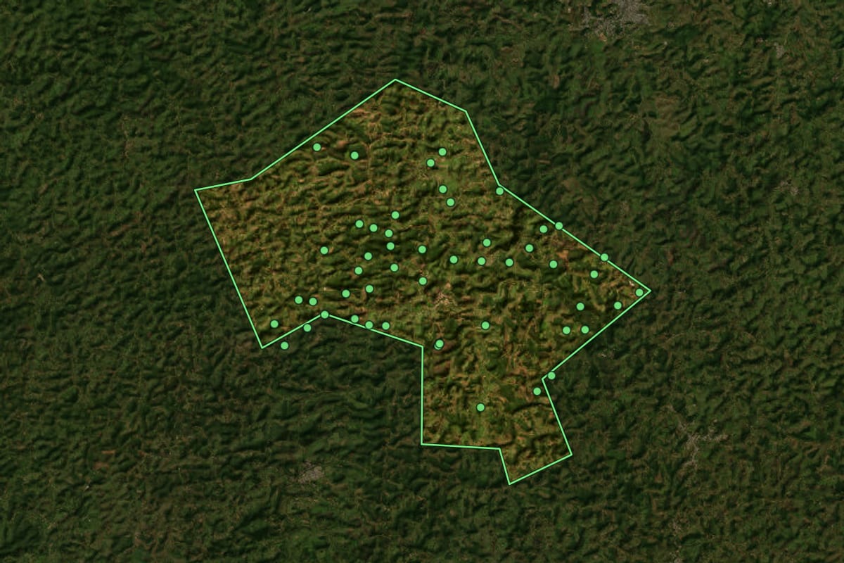 Imagem de satélite de Guaraciaba (MG), com o contorno do município e a posição dos imóveis desta página.