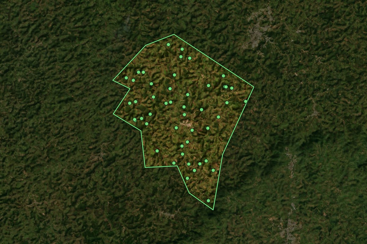 Imagem de satélite de Paula Cândido (MG), com o contorno do município e a posição dos imóveis desta página.