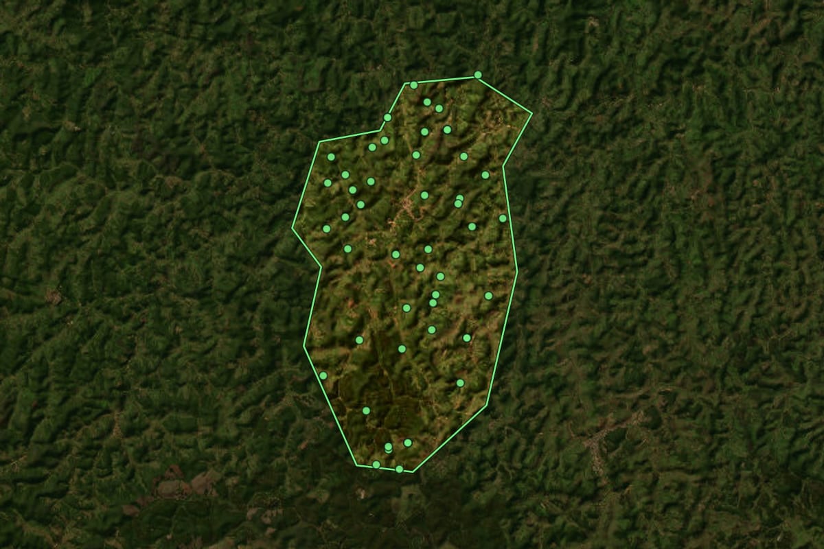 Imagem de satélite de Paulistas (MG), com o contorno do município e a posição dos imóveis desta página.