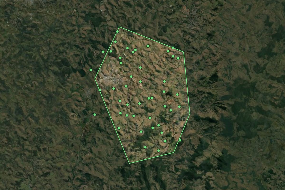 Imagem de satélite de Rodeiro (MG), com o contorno do município e a posição dos imóveis desta página.