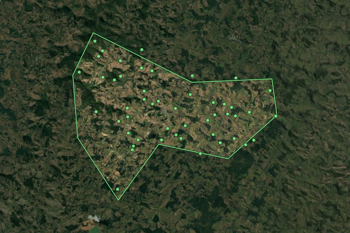 Imagem de satélite de Rosário da Limeira (MG), com o contorno do município e a posição dos imóveis desta página.