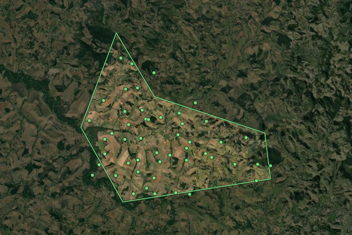 Imagem de satélite de São José do Alegre (MG), com o contorno do município e a posição dos imóveis desta página.
