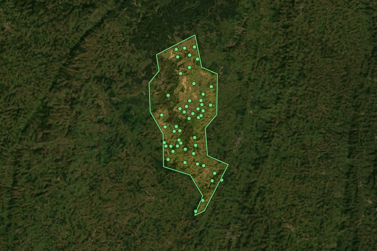 Imagem de satélite de São Pedro dos Ferros (MG), com o contorno do município e a posição dos imóveis desta página.