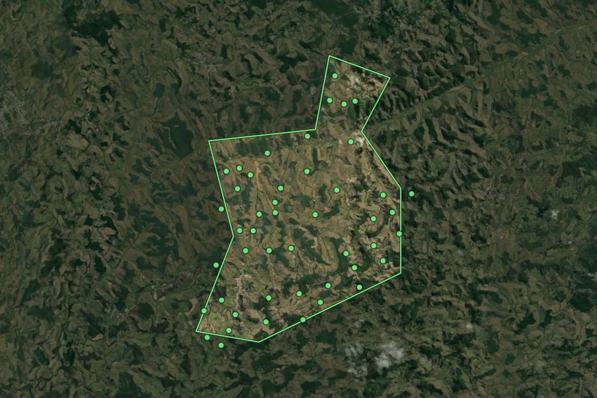Imagem de satélite de Senador Cortes (MG), com o contorno do município e a posição dos imóveis desta página.