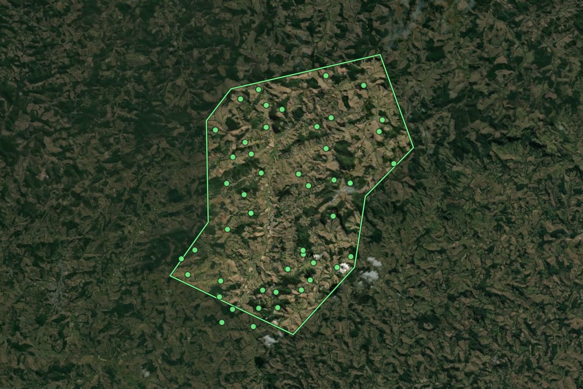 Imagem de satélite de Silveirânia (MG), com o contorno do município e a posição dos imóveis desta página.