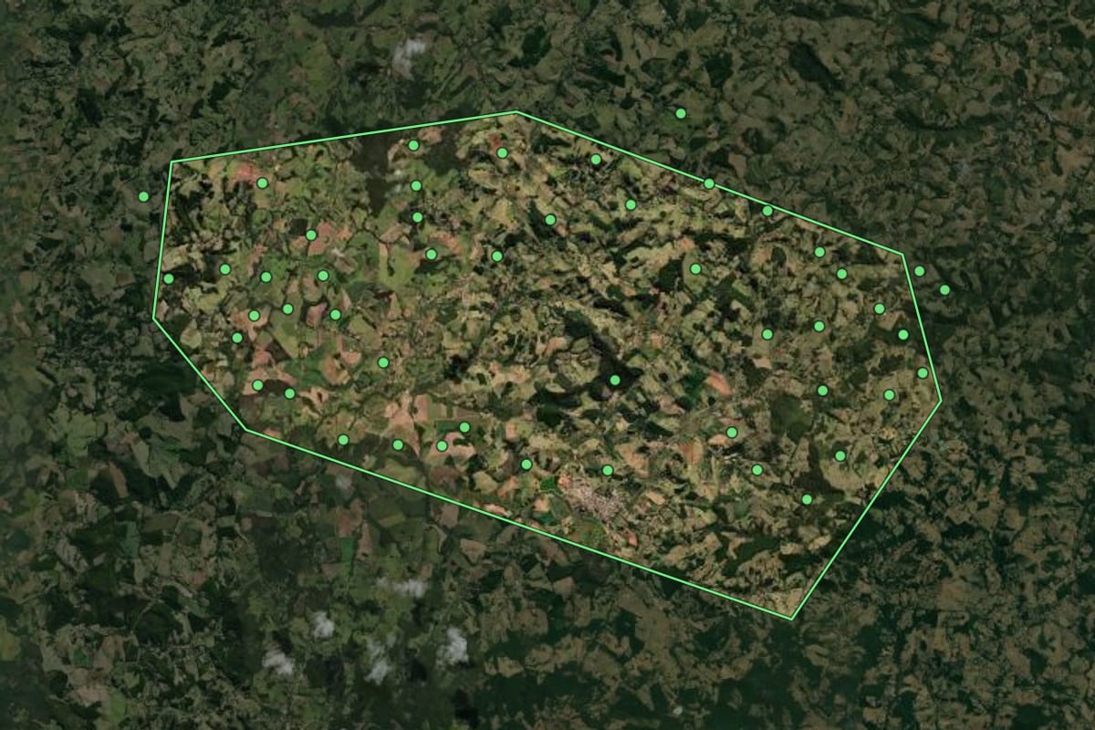 Imagem de satélite de Toledo (MG), com o contorno do município e a posição dos imóveis desta página.