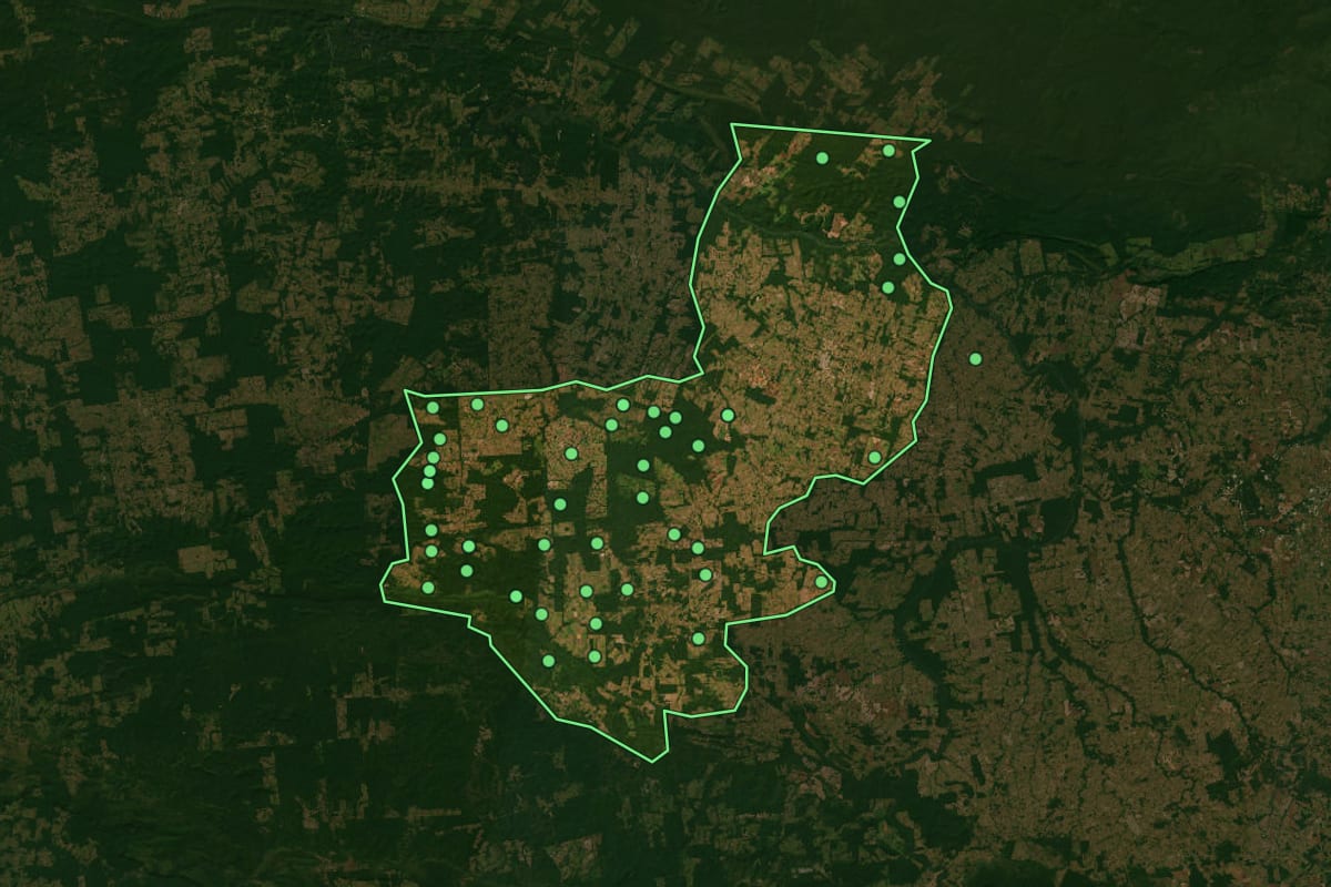 Imagem de satélite de Alta Floresta (MT), com o contorno do município e a posição dos imóveis desta página.
