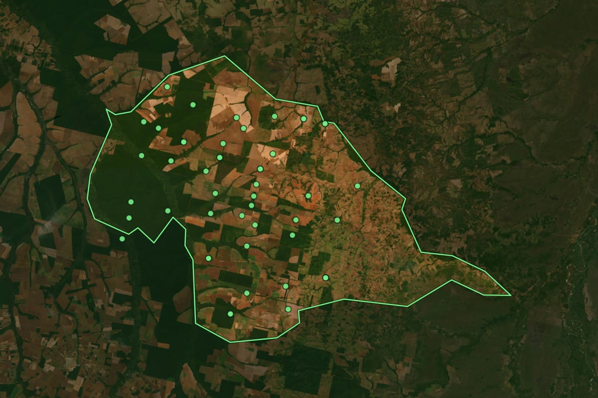 Imagem de satélite de Bom Jesus do Araguaia (MT), com o contorno do município e a posição dos imóveis desta página.