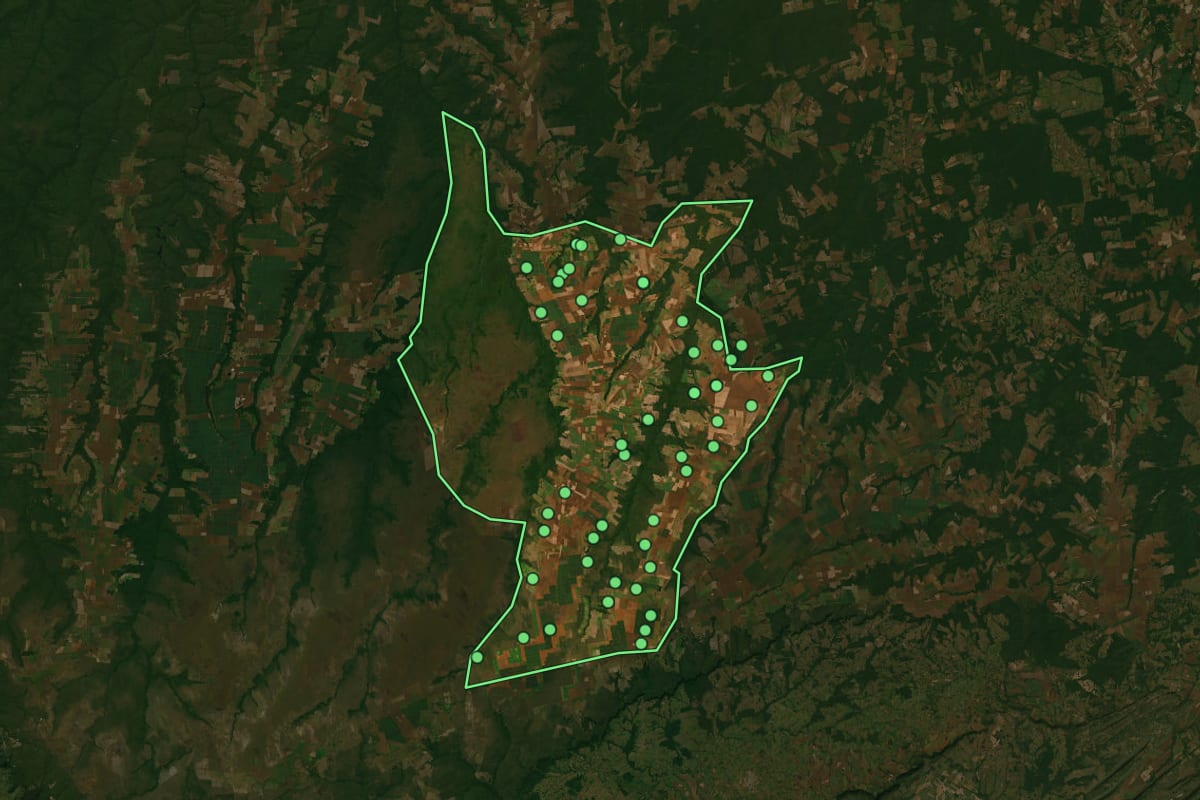 Imagem de satélite de Campo Novo do Parecis (MT), com o contorno do município e a posição dos imóveis desta página.