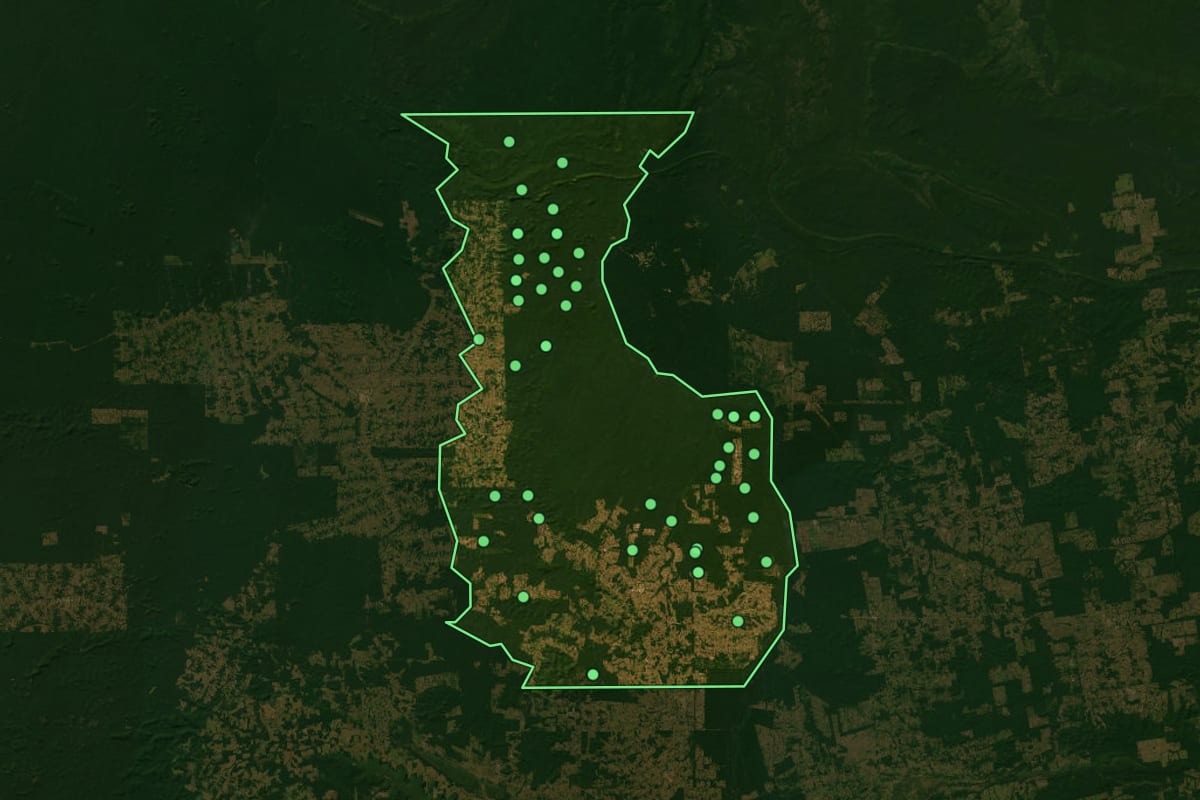 Imagem de satélite de Cotriguaçu (MT), com o contorno do município e a posição dos imóveis desta página.
