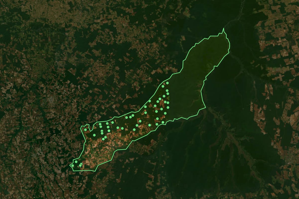 Imagem de satélite de Feliz Natal (MT), com o contorno do município e a posição dos imóveis desta página.