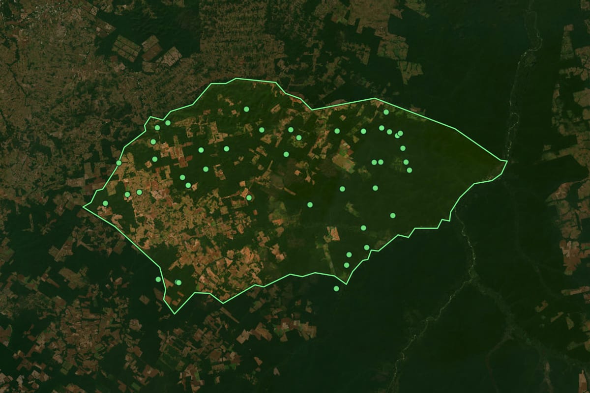 Imagem de satélite de Marcelândia (MT), com o contorno do município e a posição dos imóveis desta página.
