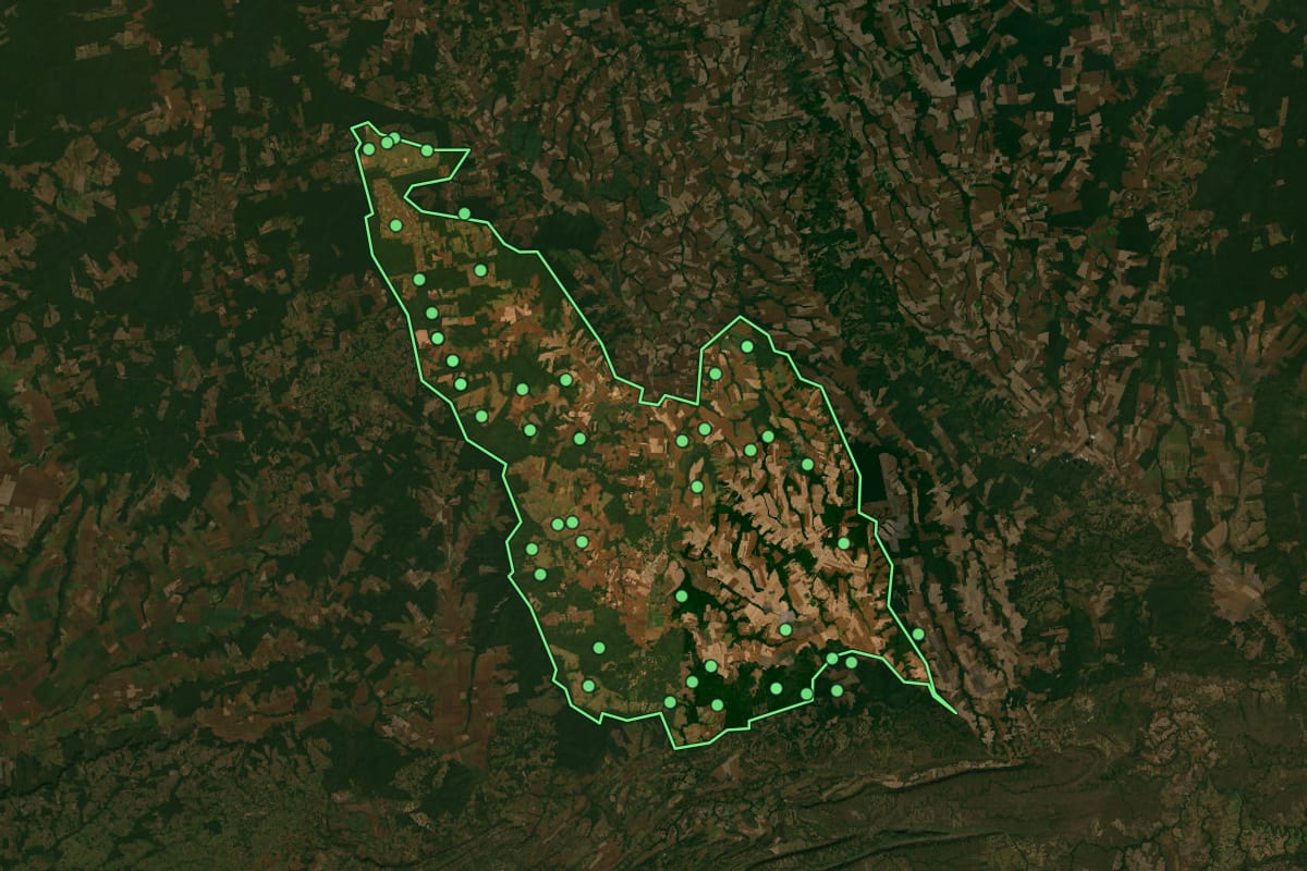 Imagem de satélite de Nova Mutum (MT), com o contorno do município e a posição dos imóveis desta página.