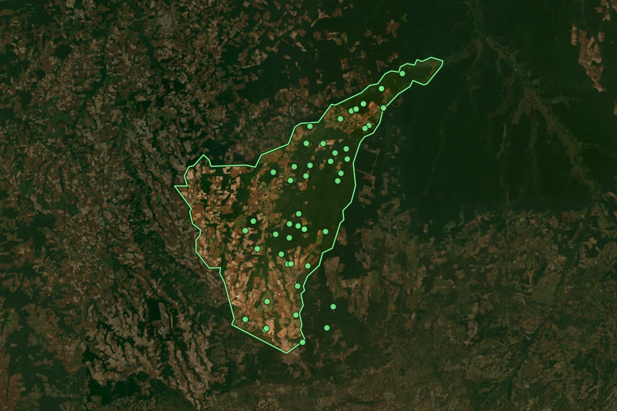 Imagem de satélite de Nova Ubiratã (MT), com o contorno do município e a posição dos imóveis desta página.